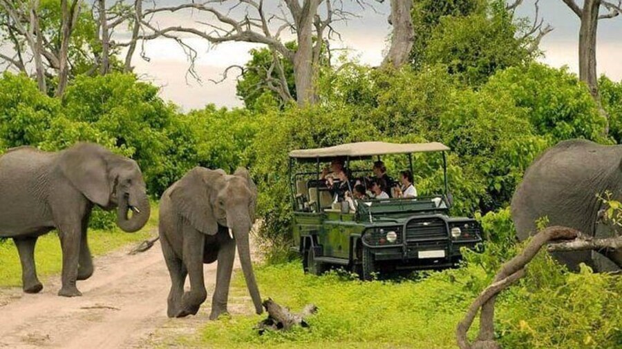 Game Drive