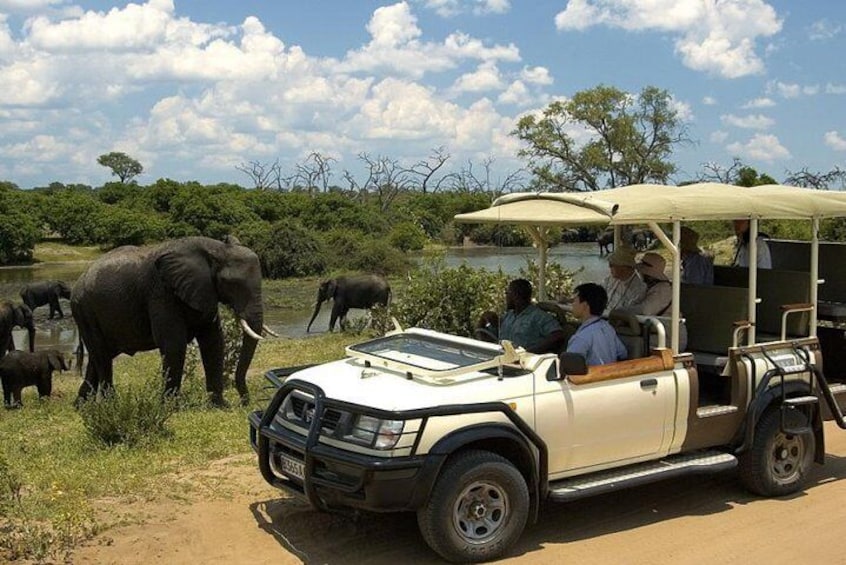 Game Drive at Chobe National park 
