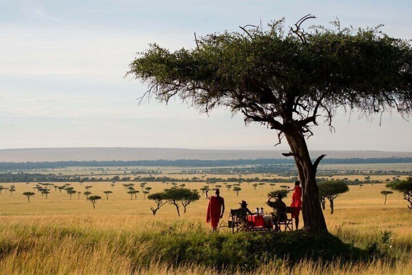 3 days Masai Mara National Reserve Shared Safari