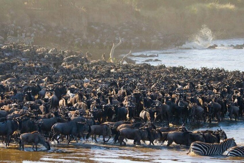 3 days Masai Mara National Reserve Shared Safari