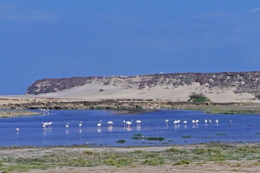 Khor Rori Lagoon