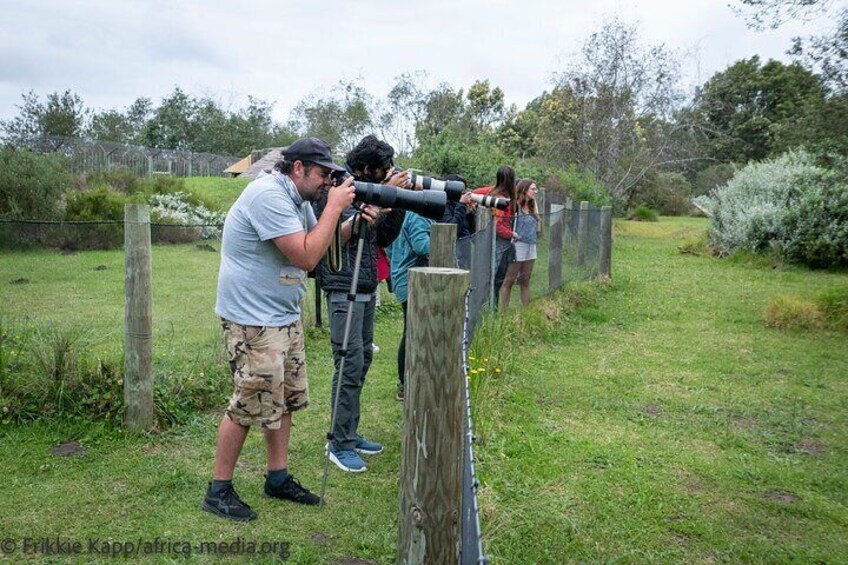 The Private Tour is great for taking photographs