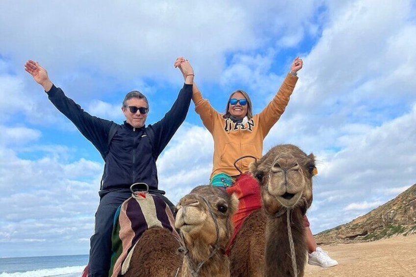 3 Hours Tangier Sightseeing and camel trek