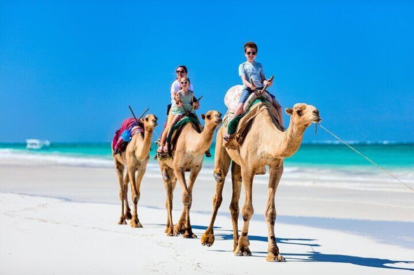 Camel ride in Tangier