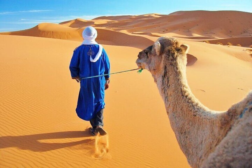 Camel trek on the Atlantic beach of Tangier Morocco
