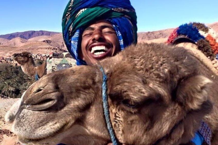 Tangier camel trek