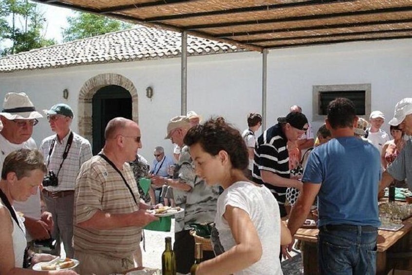 Winery tour with Wine and Olive tasting at Theotoky Estate in Corfu