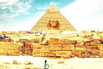 All inclusive privat resa Giza PyramidsSphinx, Camel, Vip Lunch