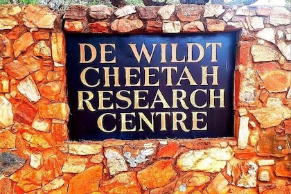 Ann de-wildt cheetah tour