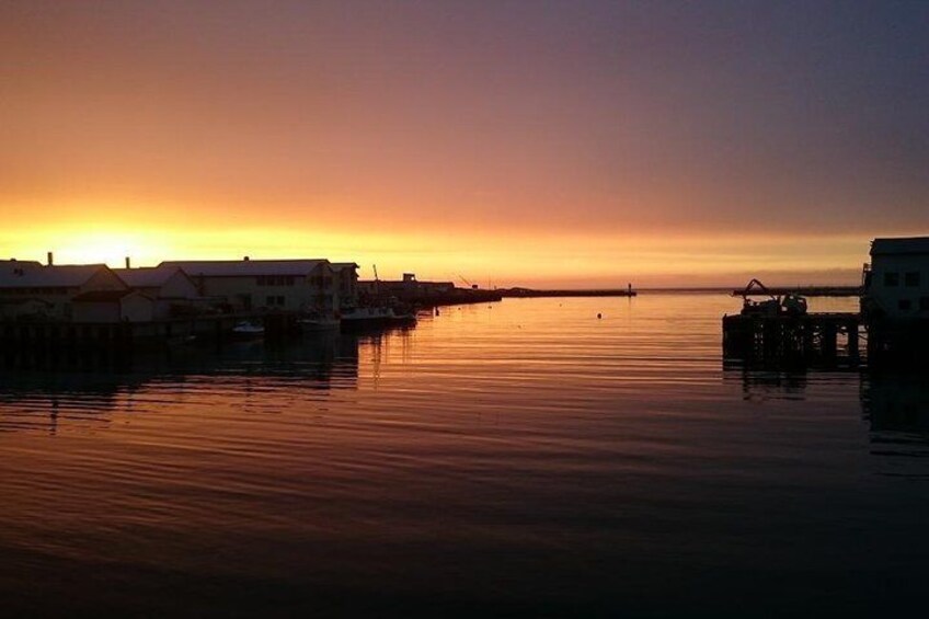 Vardø by night - photo: Lars Engerengen