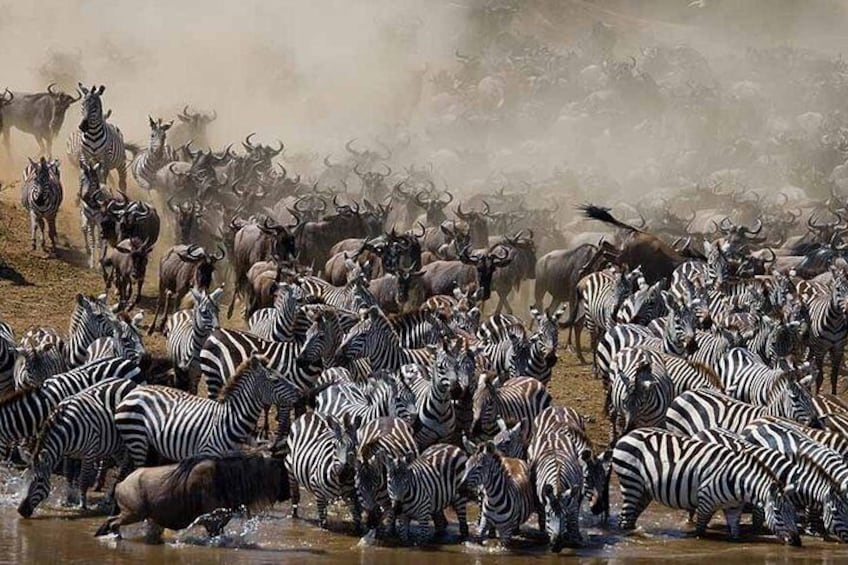 7 Day 6 nights Great Migration Classic Tanzania Safari