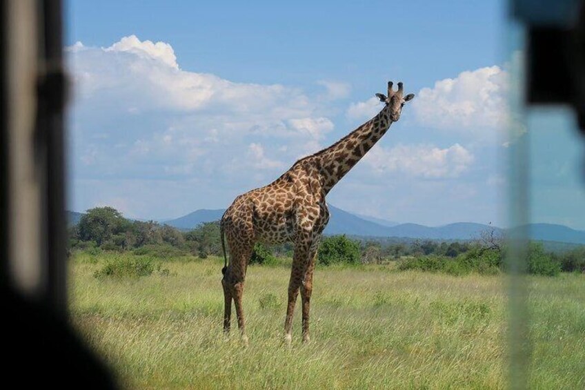 3 Days 2 Nights Ruaha National Park Fly From Zanzibar