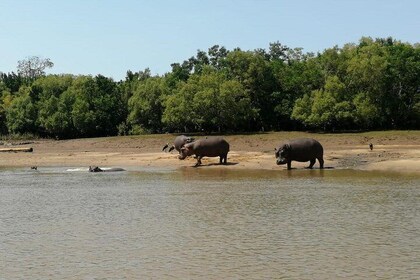 7 days Mikumi , Ruaha & Selous Game Reserve