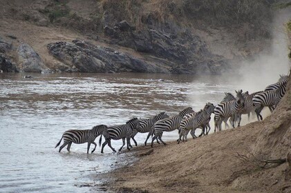 3 Days Serengeti National Park from Zanzibar