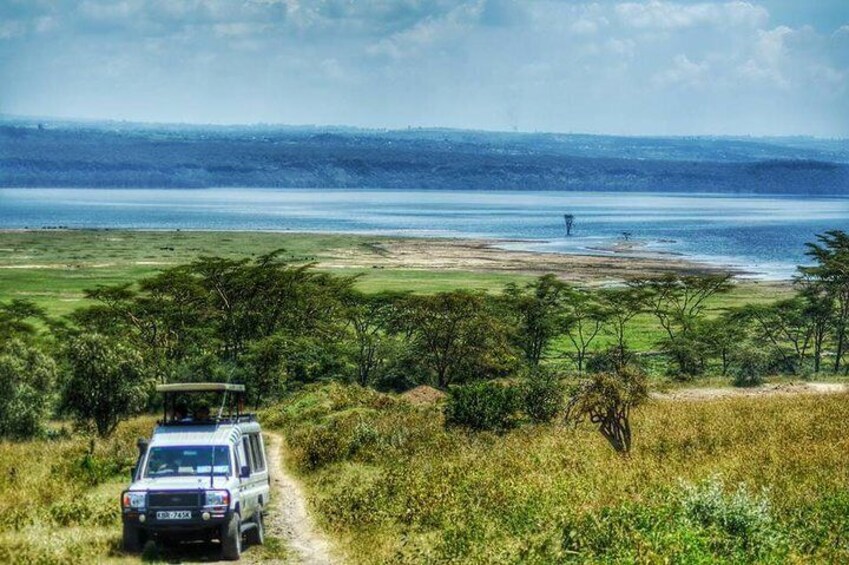 Lake Nakuru National Park with Boat Ride: Private Guided Tour from Nairobi