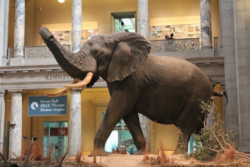 Nairobi National Museum