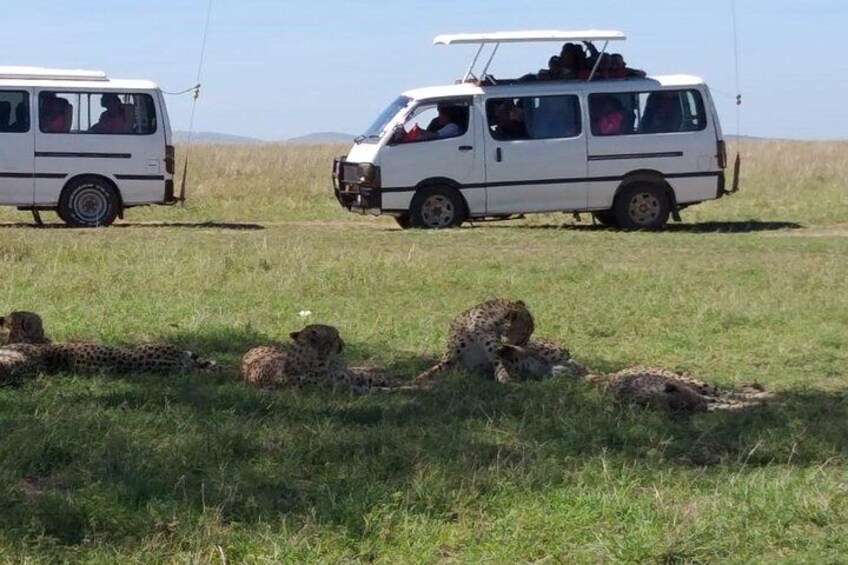  customized vehicle with a pop roof for easy game viewing and Photography