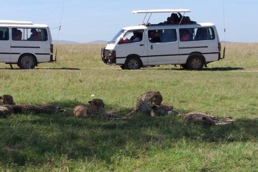 customized vehicle with a pop roof for easy game viewing and Photography