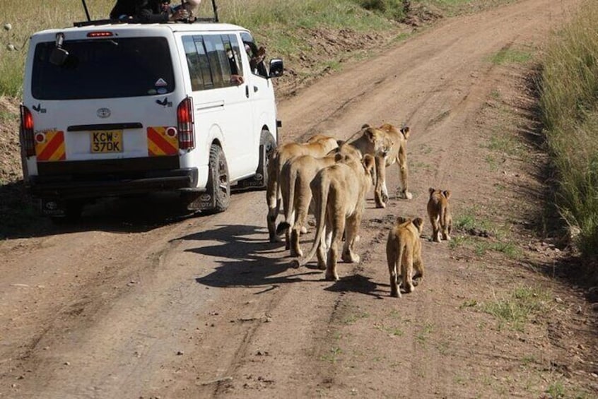 Game drive