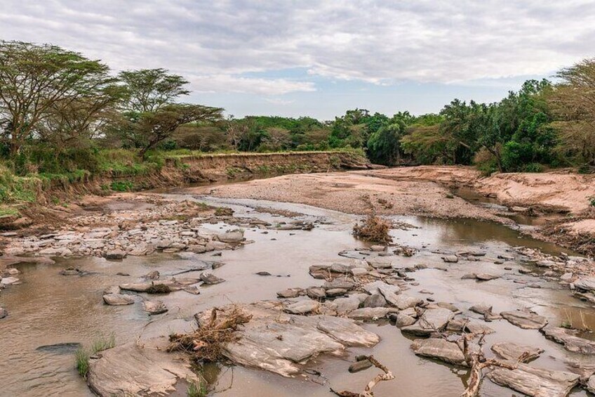 Overnight Maasai Mara Private Safari From Nairobi