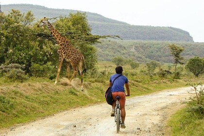 Overnight Mount Longonot and Hells Gate National Park From Nairobi