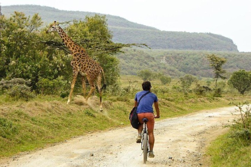 biking in hell's gate