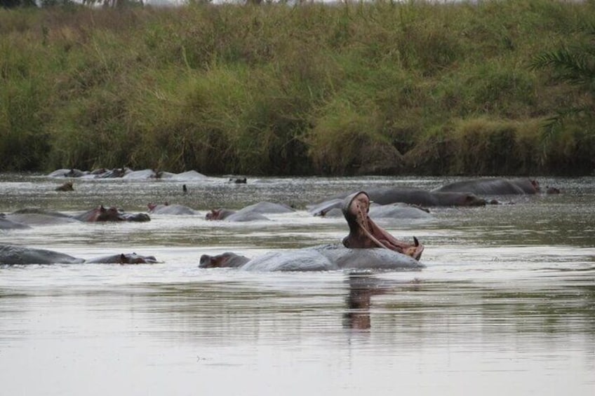 Overnight Mount Longonot and Hells Gate National Park From Nairobi