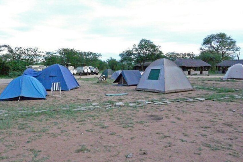 Campsite in serengeti