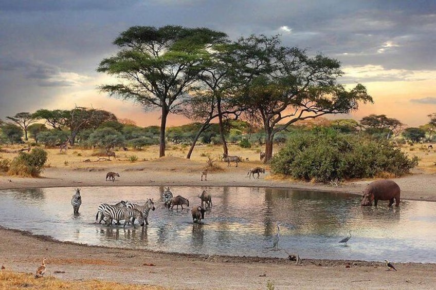 Beautiful scenery