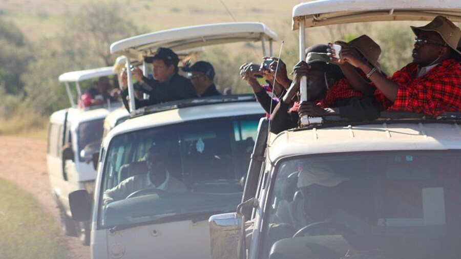 Game drives in Maasai Mara in a customized safari vehicle with a pop roof