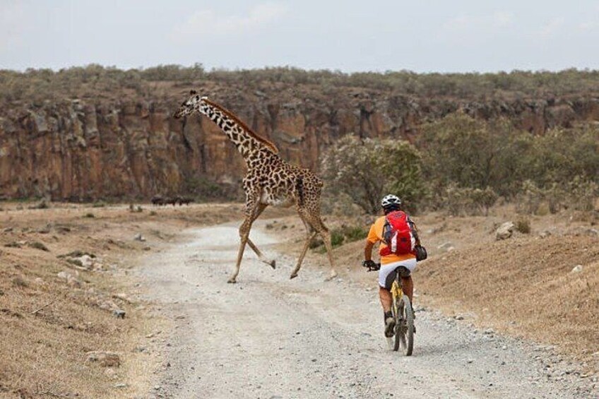 Cycling at Hell's Gate National Park