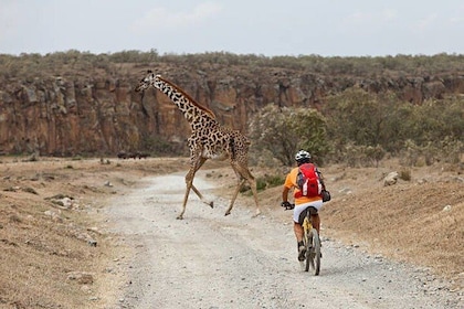 Hell's Gate National Park Private Bike Tour from Nairobi