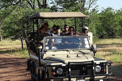 Game Drive & Rhino Safari Exp - up to 3 hrs long - MIN 2 PEOPLE