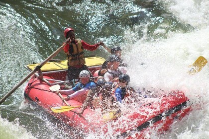 Victoria Falls: Whitewater Rafting + Chobe Safari Combo