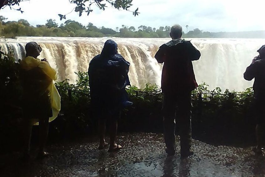 Guided Tour Of the Victoria Falls Zimbabwe 
