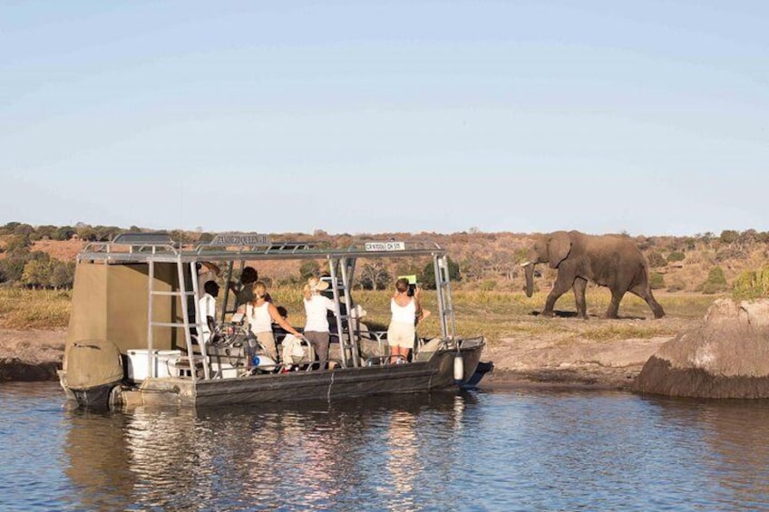 Chobe Full Day Trip