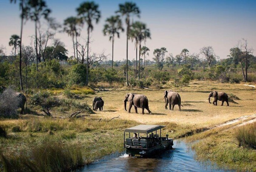 Chobe National Park 