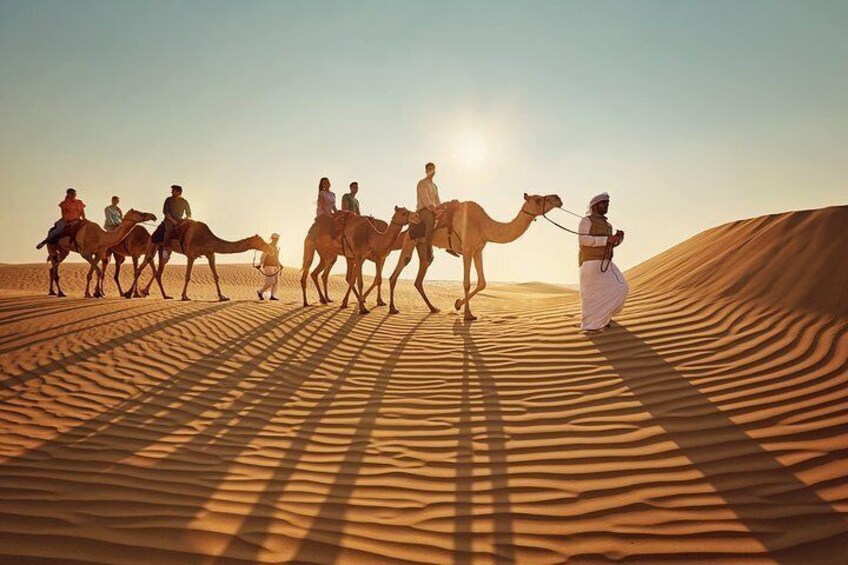 Camel Ride Abu Dhabi 