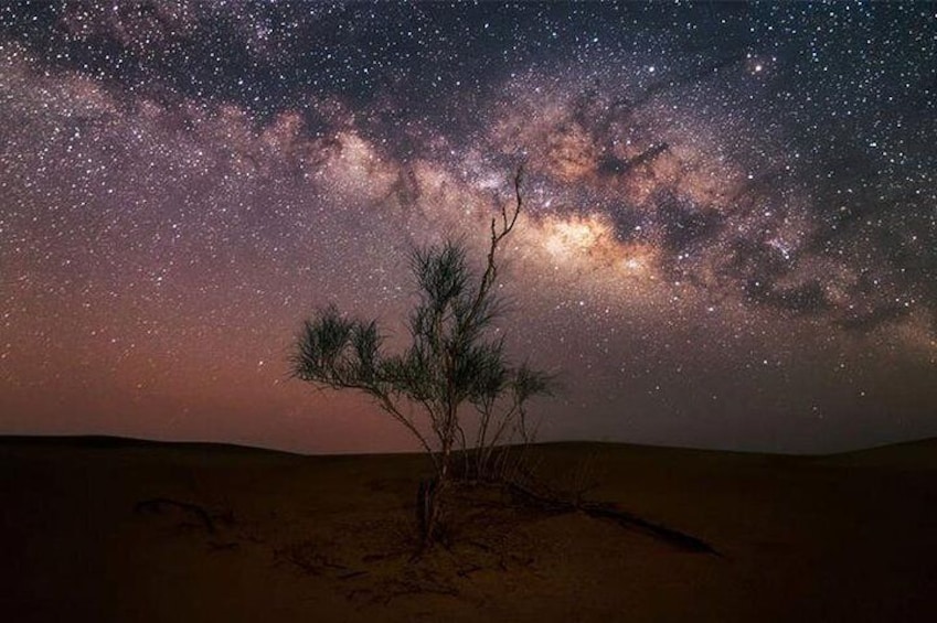 Stargazing in Liwa Desert 