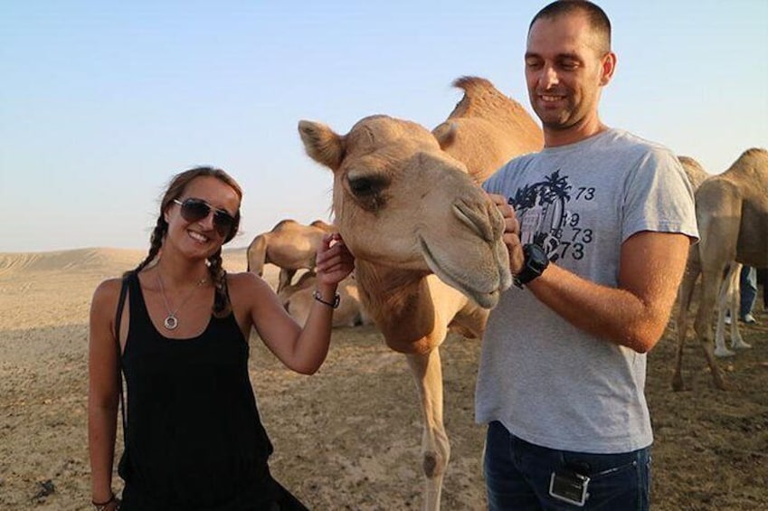 Liwa Camel Farm