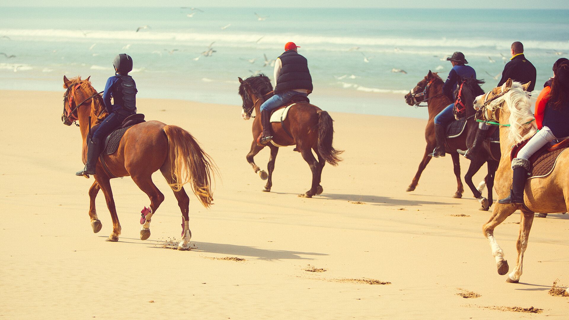 Horseback Riding: PLAYA BLANCA - Tangier - 1 hour