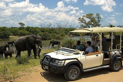 chobe Day trip