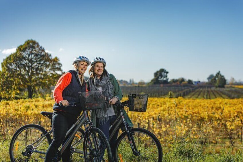 Full-Day Marlborough Wine Region Bike Hire