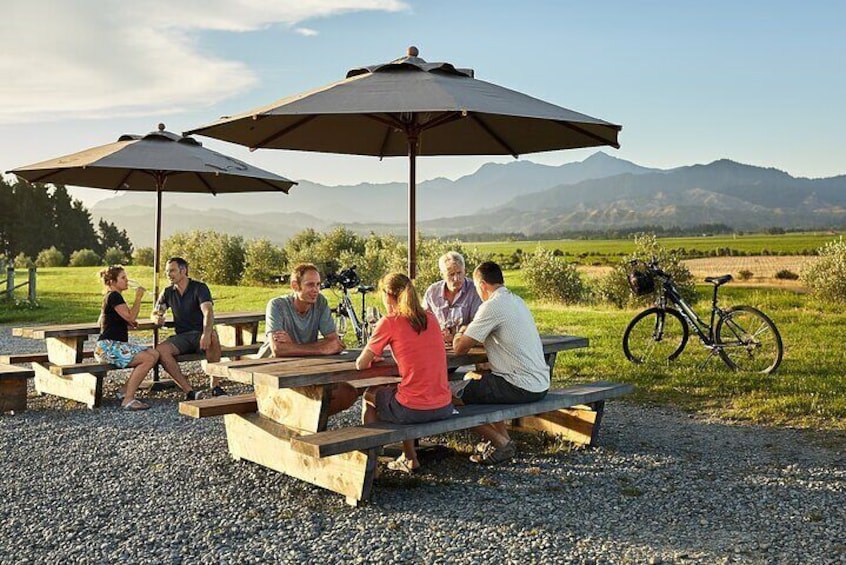 Full-Day Marlborough Wine Region Bike Hire