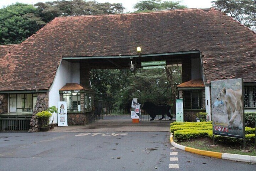Day Tour at Nairobi National Park elephant orphanage, giraffe cent karen museum