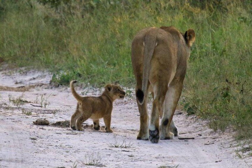 Nairobi national park