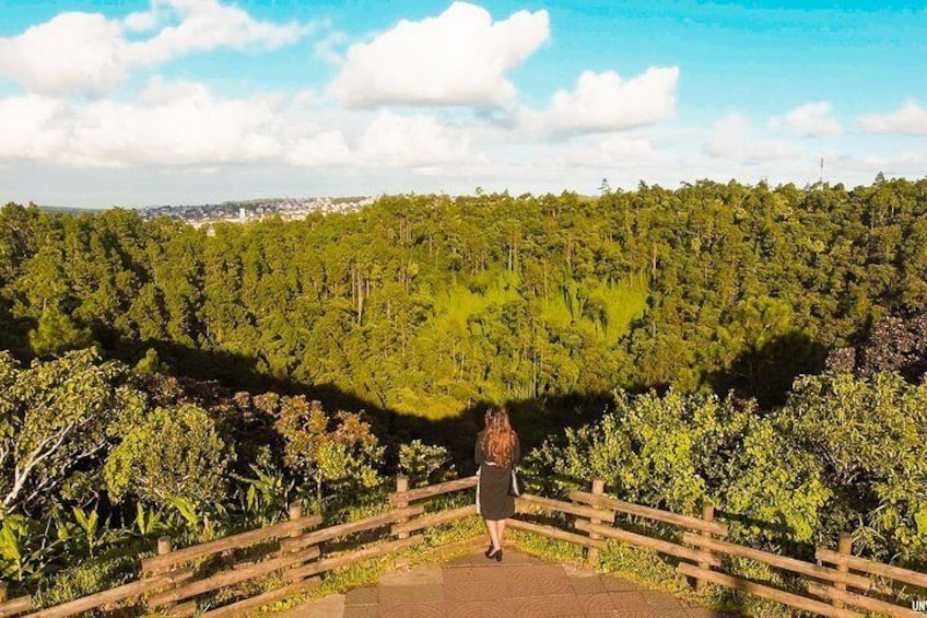 Trou Aux Cerf Volcano Viewpoint 