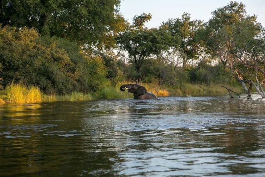 Batoka Africa Sunset Cruise