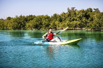 Abu Dhabi Eastern Mangrove Lagoon National Park Kayaking - Guided Tour