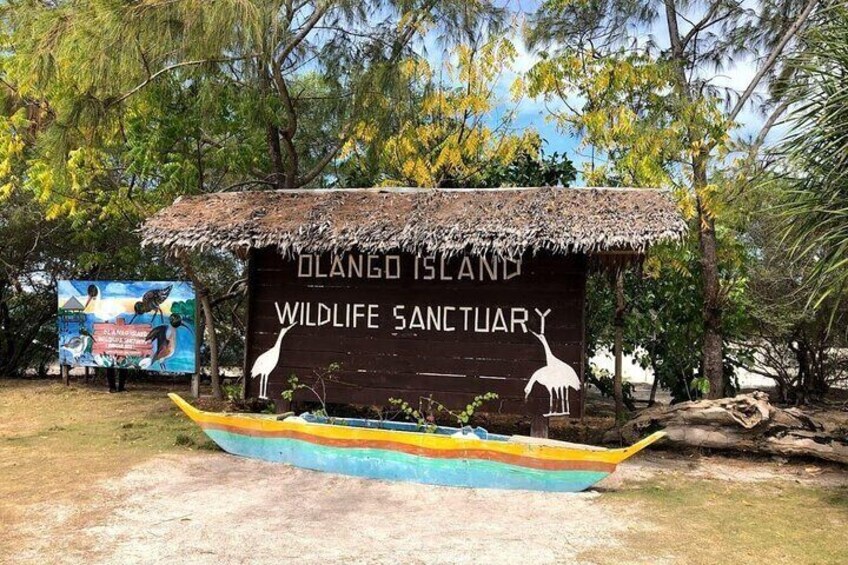 Olango Island Bird Watching and Snorkeling Day Trip from Cebu